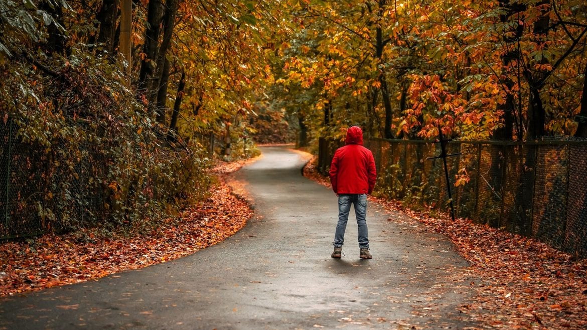 A person wearing a red jacket stands in the middle of a paved path lined with trees in autumn colors