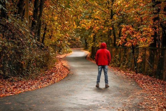 A person wearing a red jacket stands in the middle of a paved path lined with trees in autumn colors
