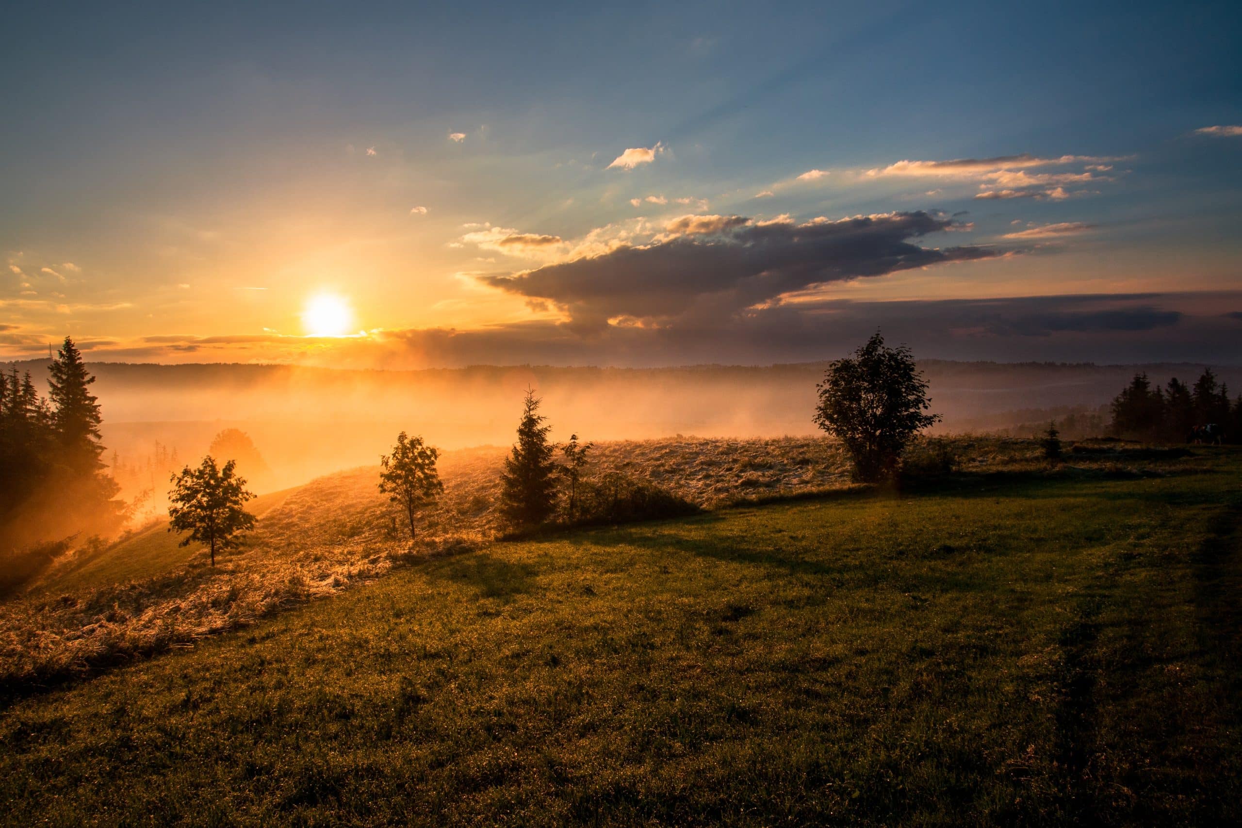 Efficient Morning Routines: Strategies For A Productive Start To Your Day